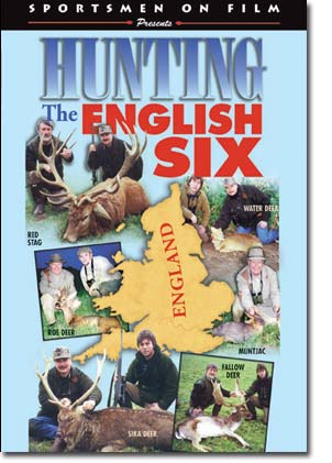 Hunting The English Six