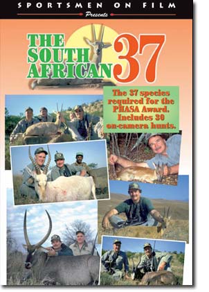 South African 37