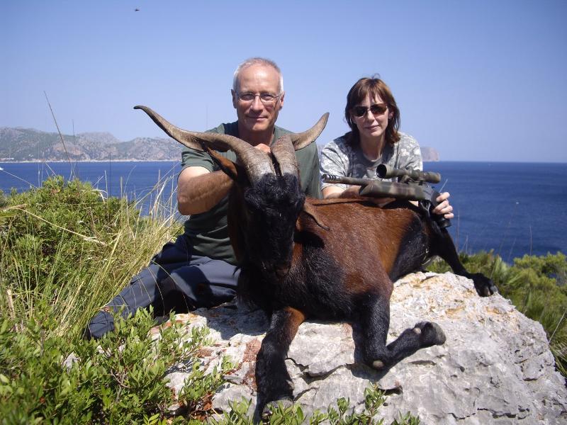 Mallorcan Wild Goat
