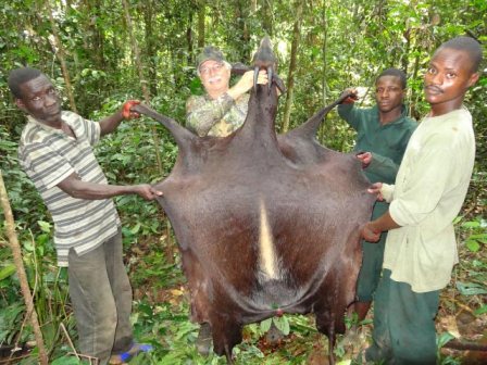 That is one big Duiker!