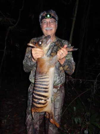 ZEBRA DUIKER guided by Boima McGill